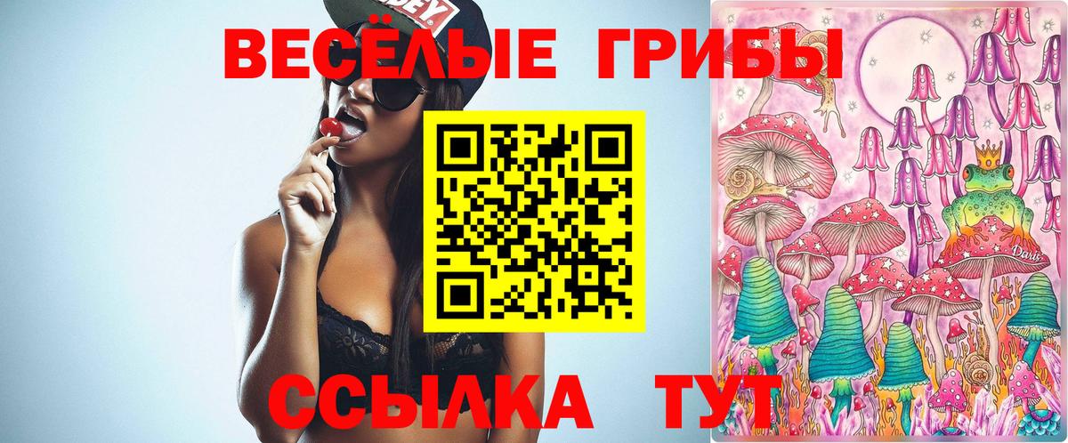 Чапаевск  Псилоцибиновые грибы GOLDEN TEACHER  Вход с VPN 