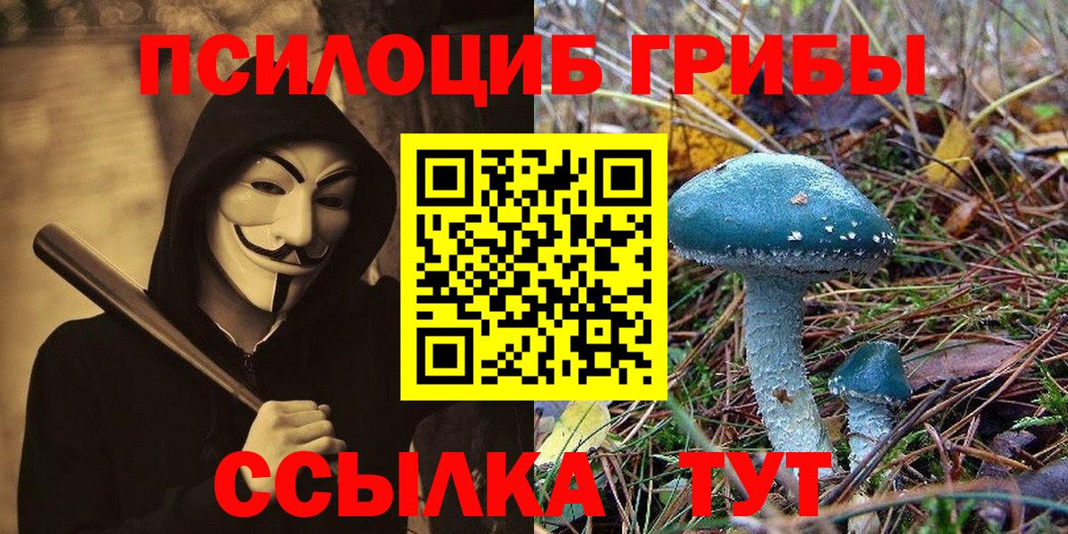 Галлюциногенные грибы Psilocybine cubensis Чапаевск